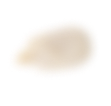 blurry seed